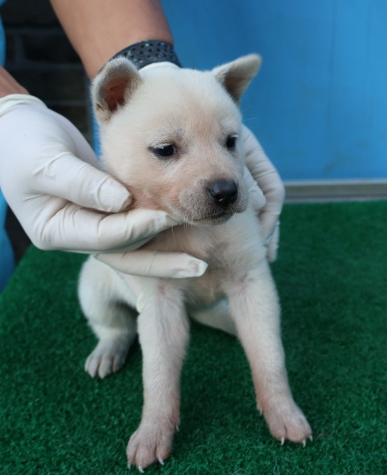 제주 동물보호센터_450650202403286